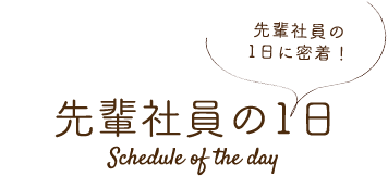 先輩社員の1日